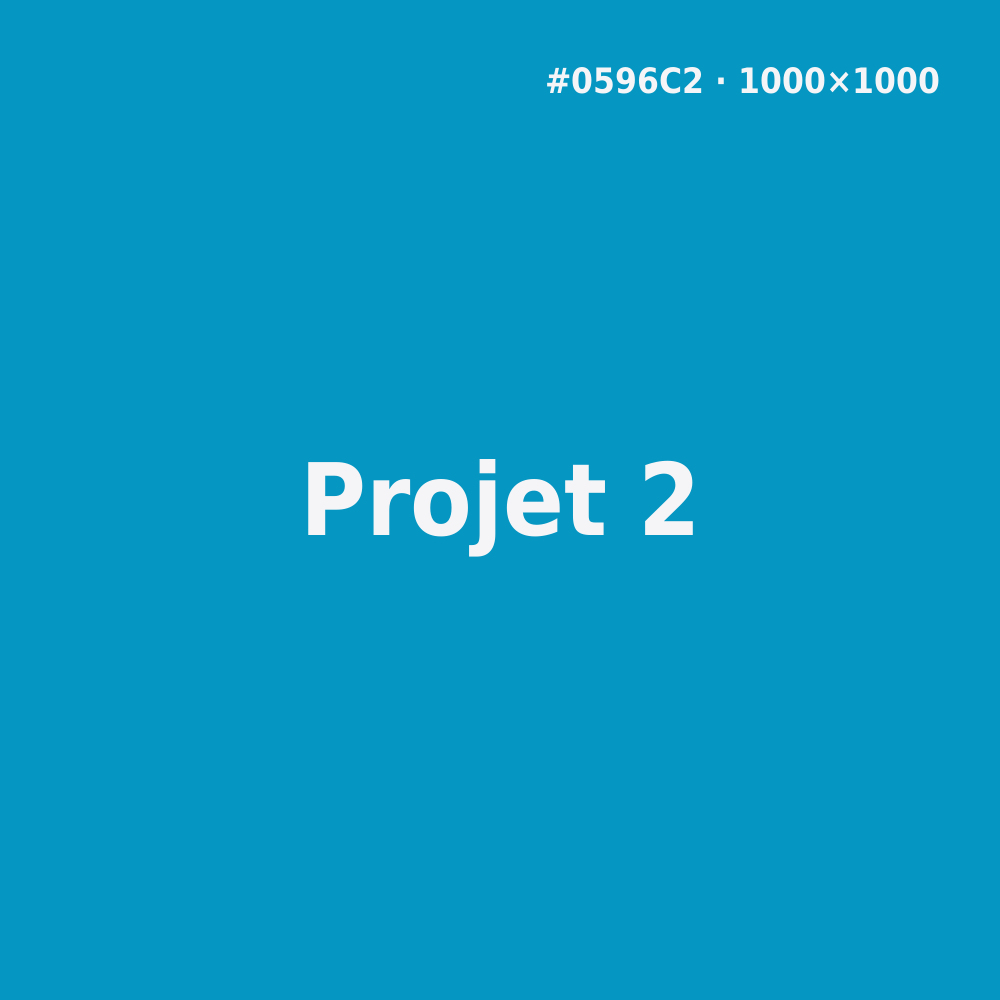 Project 2