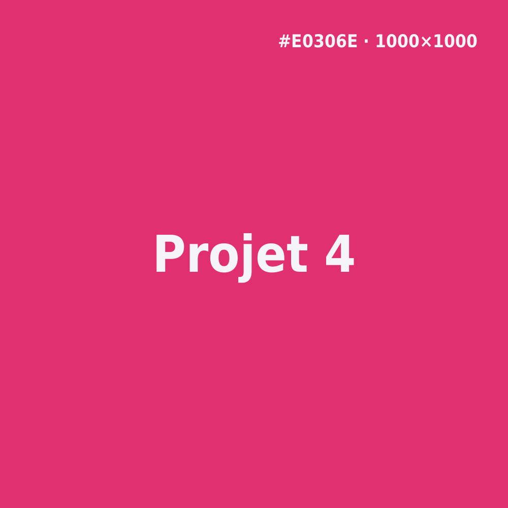 Project 4