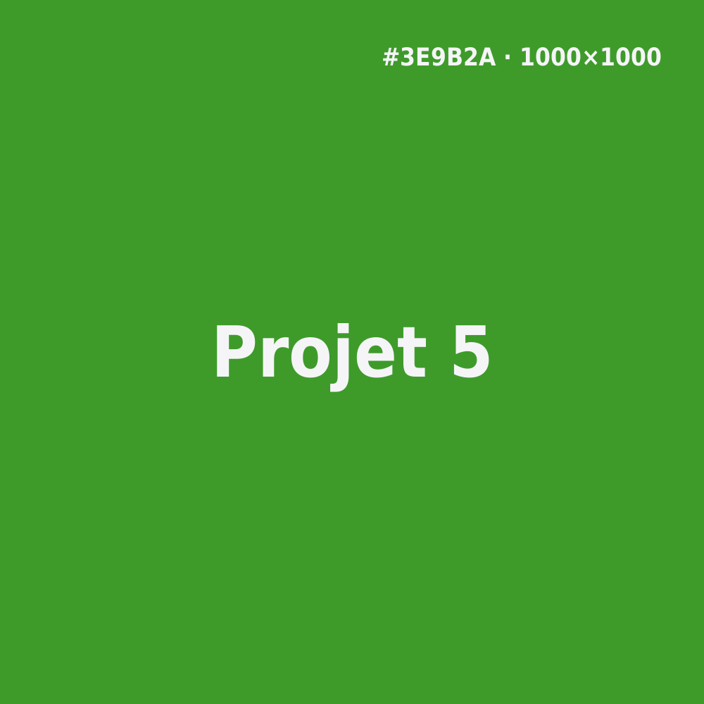 Project 5
